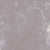 CERAMICA CEMENTO PLUS GRIS 45X45 CELIMA X M2